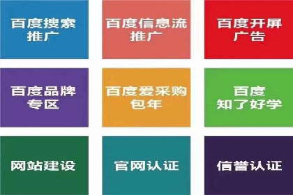 某某sem公司成功案例：如何通过SEM提升教育品牌影响力